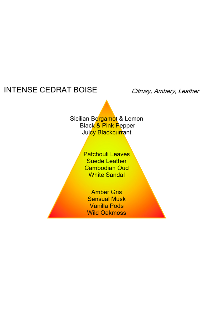 Mancera Parfum Cedrat Boise Intense Mancera Zwart