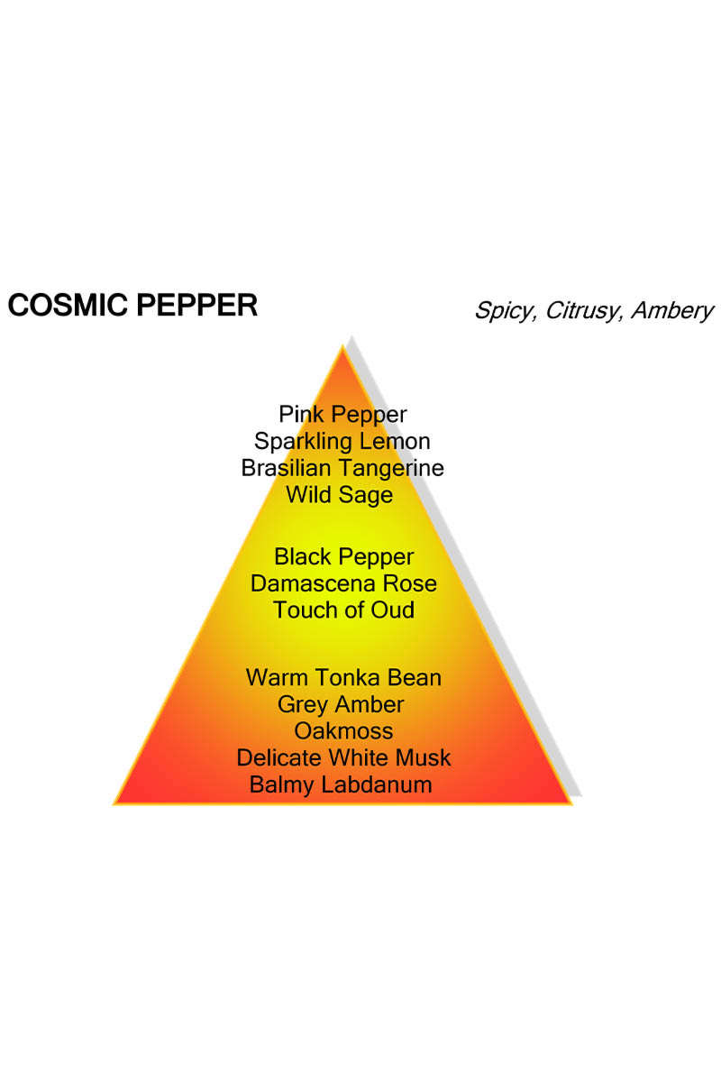 Mancera Parfum Cosmic Pepper Mancera Zwart