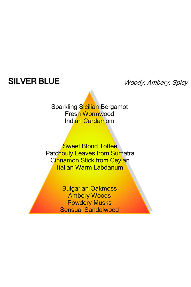 Mancera Parfum Silver Blue Mancera Zwart