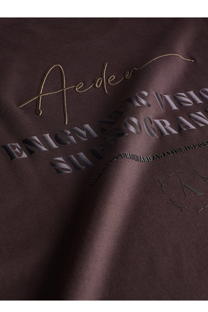 Aeden T-shirt Razz Tee D-bruin