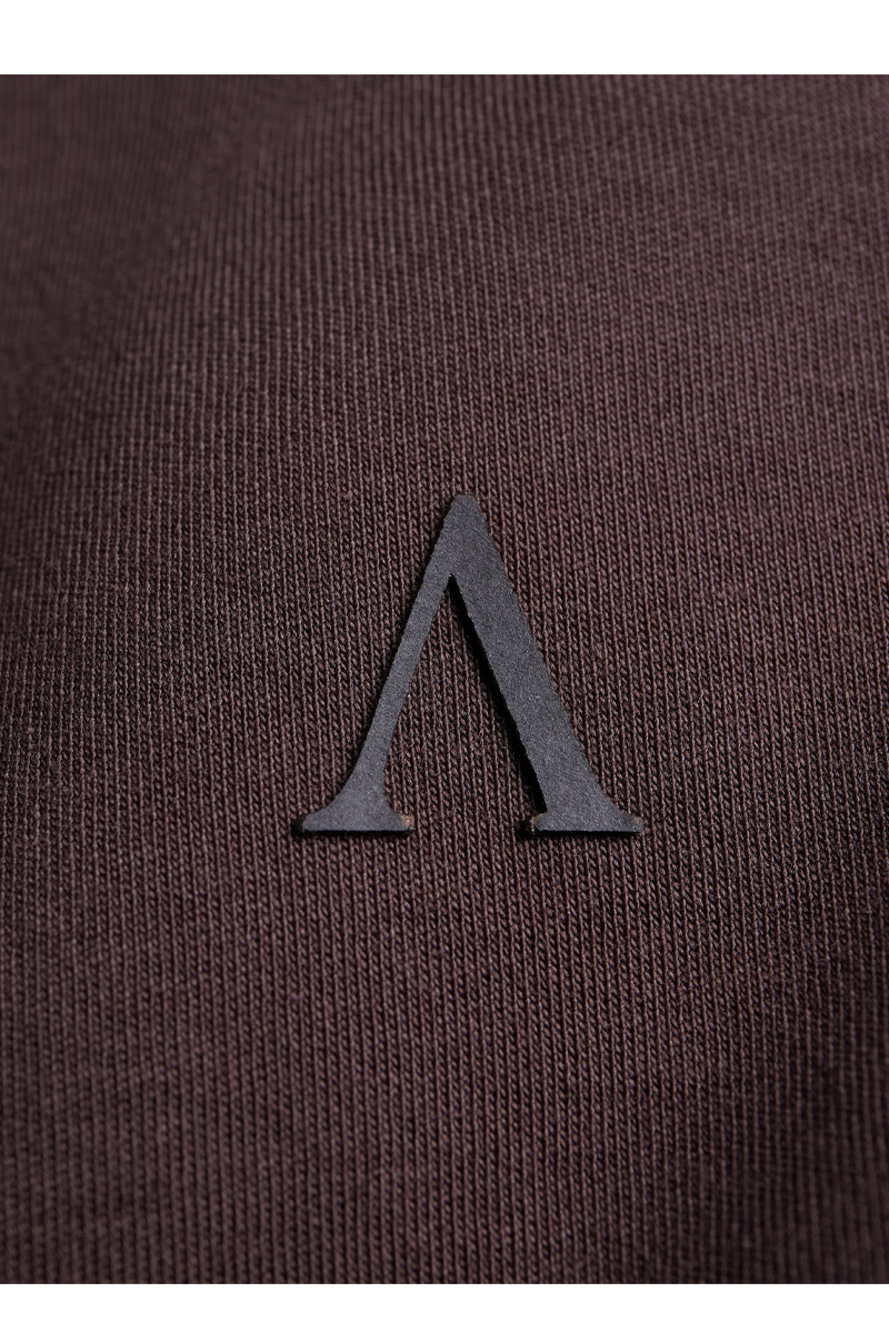Aeden T-shirt Razz Tee D-bruin