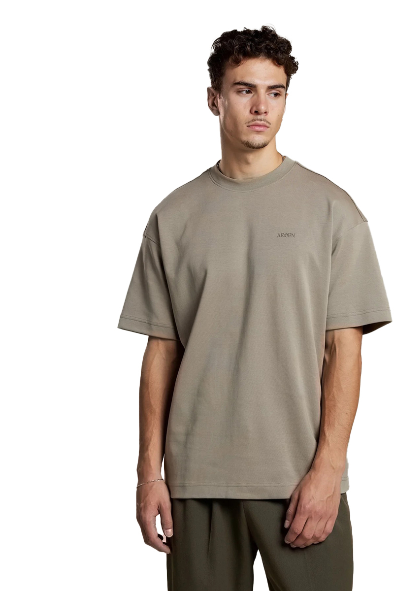 Aeden T-shirt Raphael Tee Groen