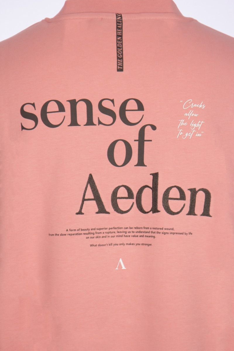 Aeden T-shirt Jelle D-roze