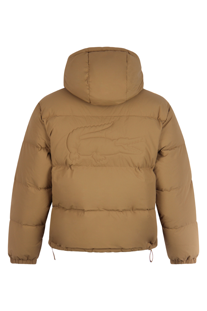 Lacoste Jas Bh3522 L-bruin