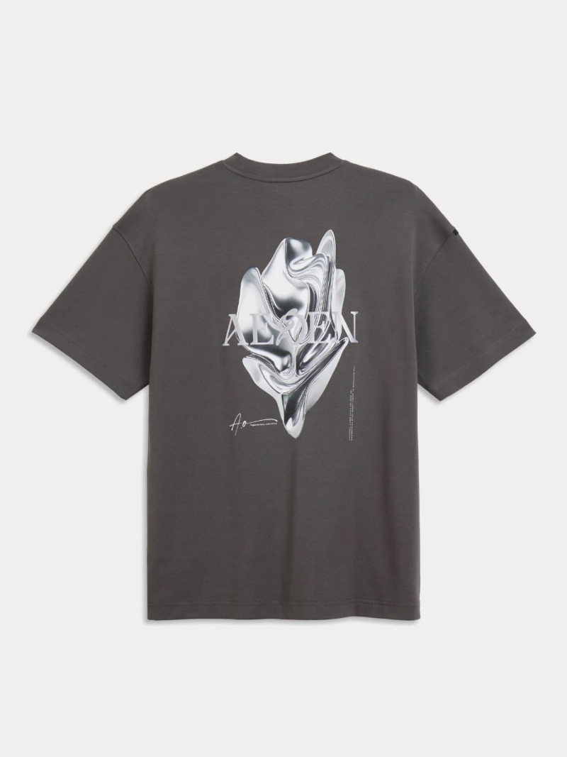 Aeden T-shirt Mickey Tee D-grijs