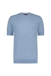 Aeden T-shirt Laurence L-blauw